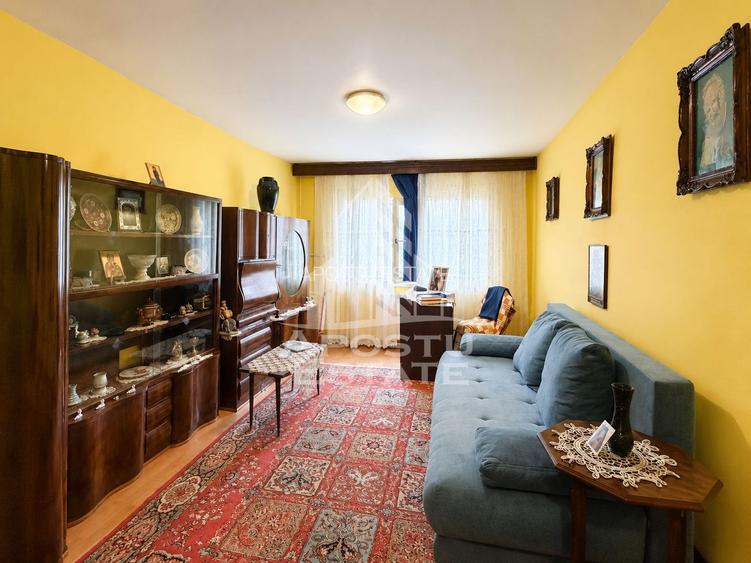 Apartament 2 camere de inchiriat, Zona Dorobantilor Timisoara - 7