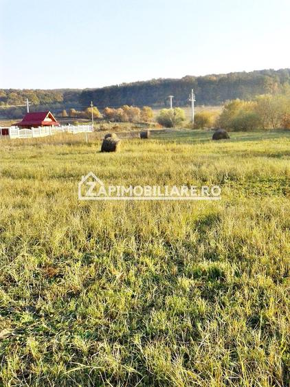 Teren 780mp, cu autorizatie Duplex ,drum asfaltat