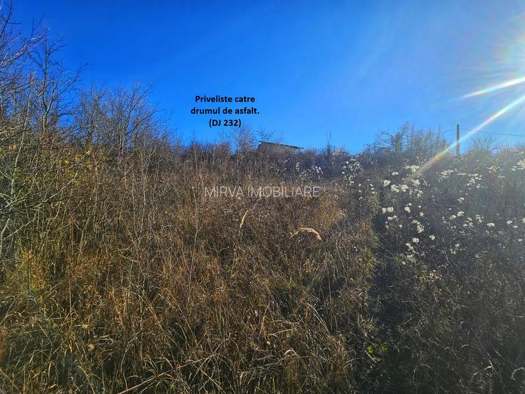 Teren intravilan 2.000 mp – Seciu, 2 deschideri, Priveliște panoramica - 8