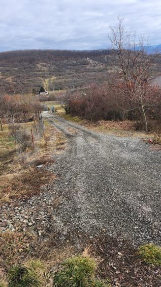Teren extravilan, 10 arii, Dealul Targului