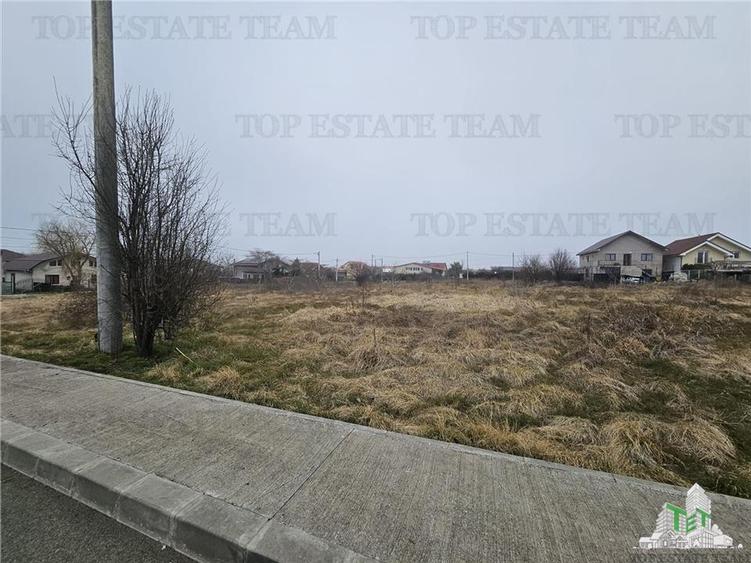 TEREN INTRAVILAN 1000 MP COSTINESTI