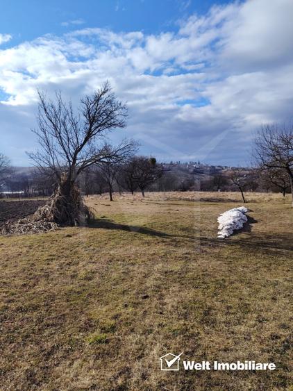Ocazie/ Teren de vanzare in FELEAC