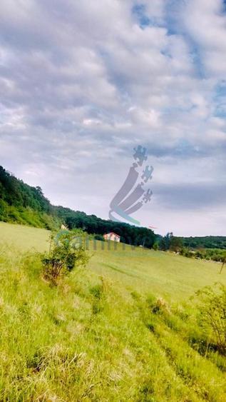 Teren de vanzare, la iesirea din Baile Felix, Bihor