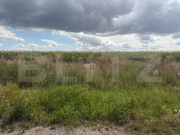 Teren de vânzare, 1.800 mp, zona Turda Cartier Primăverii - 2
