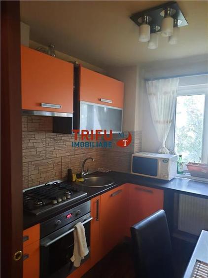 Apartament cu 2 camere de închiriat în zona Cetate, Alba Iulia