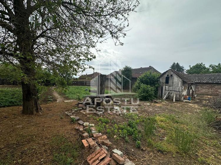 Casa cu teren de vanzare in Zimandu Nou