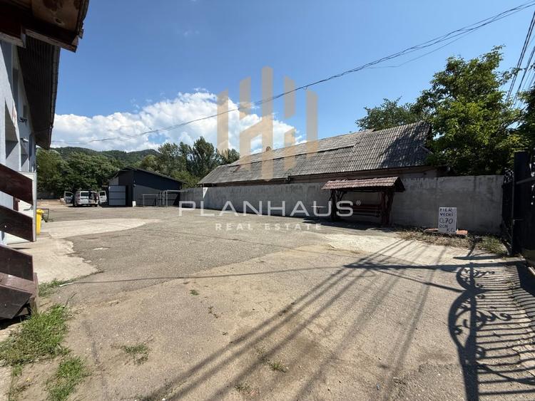 Hală industrială de vânzare sau închiriere Tăuții de Sus | 220 mp | Teren