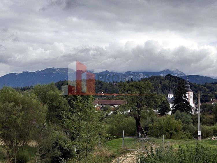 Teren de investiție în Moieciu, lângă Castelul Bran – 11.381 mp, vedere Bucegi