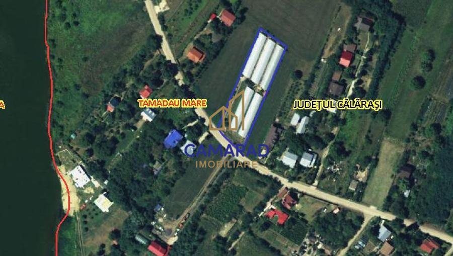 Teren intravilan vânzare - 2.750 mp – Dârvari/Tamadalu Mare (județul Călărași)
