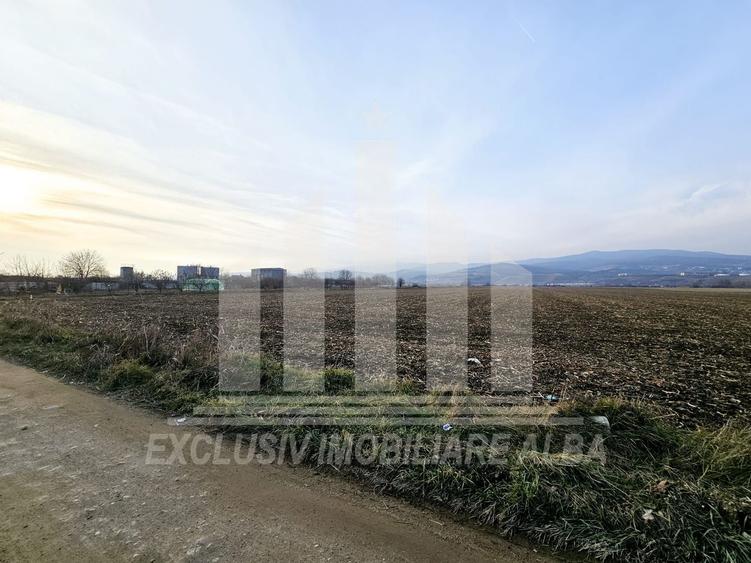Teren intravilan | De vanzare | 780 mp | 30 ml deschidere | Partos