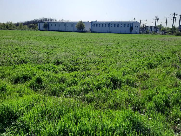 FARA COMISIOANE in Joita aproape de drumul asfaltat teren de 4600mp merita vazut