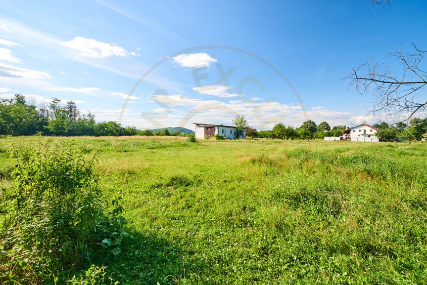 Teren Intravilan 1100 mp + Anexă 120 mp - Budeasa, Calotesti!