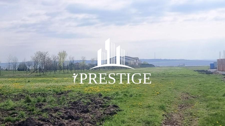 TEREN DE VÂNZARE ȘURA MICĂ 10.000 MP | 2 FRONTURI STRADALE, INVESTIȚIE