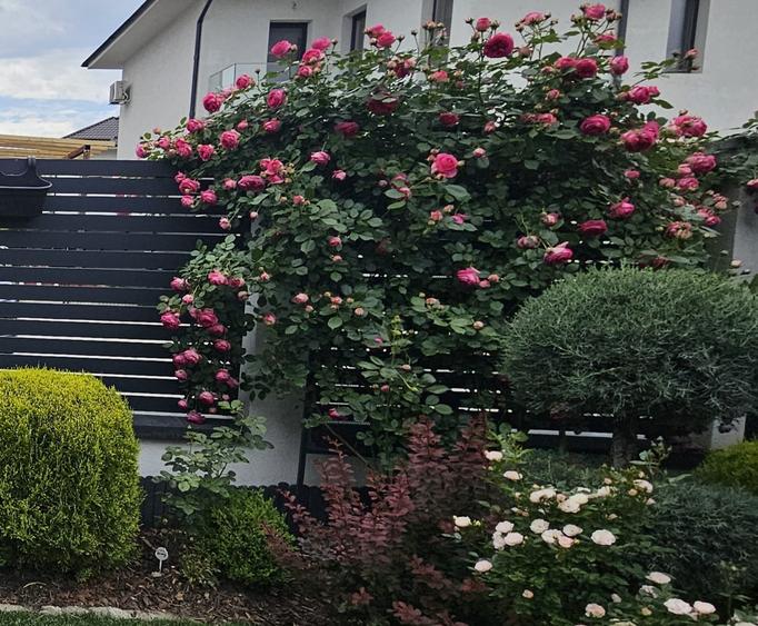 Vila superba in Paradisul Verde Corbeanca