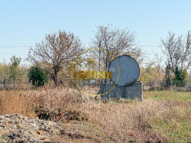 De vanzare ferma Calarasi in stare de conservare - sere - livada - 13