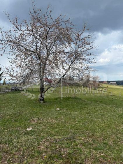 Teren intravilan ideal pentru investitie 1716mp | Front 38m | Marisel