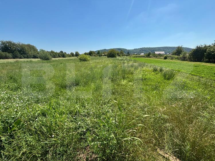 Teren intravilan, 1.782 mp, deschidere 20 ml, zona Branesti