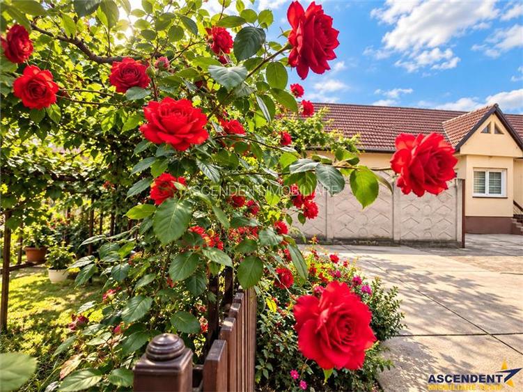 Casa cu vatra traditionala, gradina, garaj, facilitati, Codlea, Brasov - 5