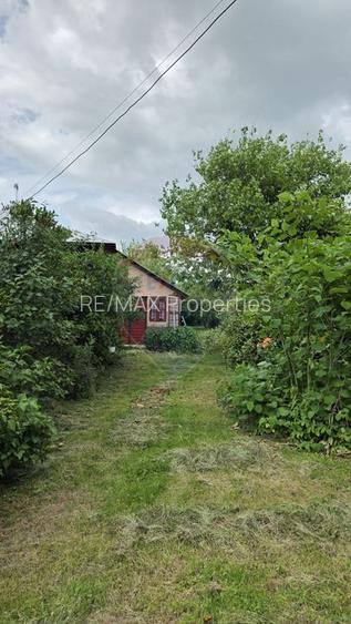 Domeniu rural, gospodarie/multifunctionala cu casa, livada, vie - 30