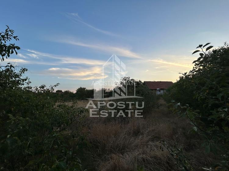 Teren intravilan, 648 mp, Zona Braytim - Muzeul Apei - 3