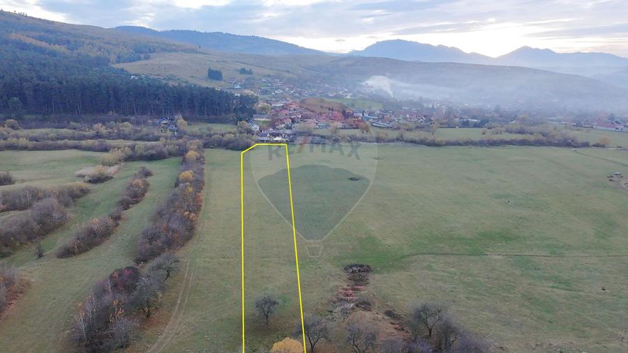 Teren 5.800 mp Purcareni curent, gaz, apă / Strada 30 decembrie