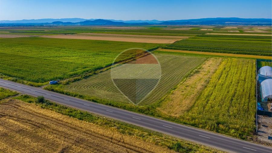 COMISION 0% | Teren intravilan 7.500 mp | Tarlungeni, Brasov