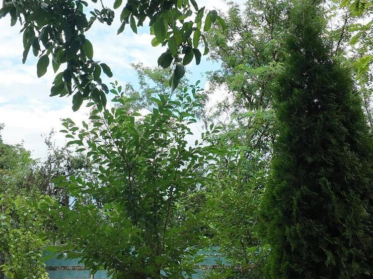 Casa de vanzare Baraitaru, Draganesti, Prahova | Onix Imobiliare
