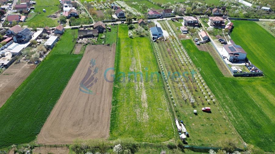Teren intravilan pentru dezvoltare imobiliara, Les, Bihor 5064mp