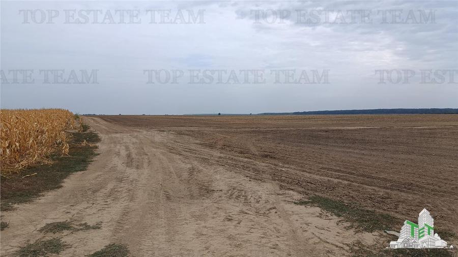 Oferim spre vanzare 6 loturi de teren extravilan (agricol) in Petrachioaia ILFOV
