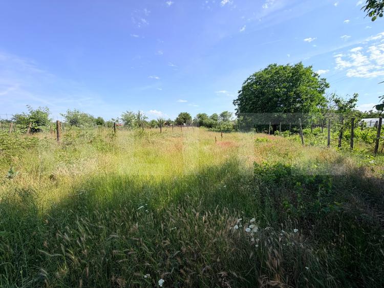 Teren intravilan, 700 mp, Cosoveni