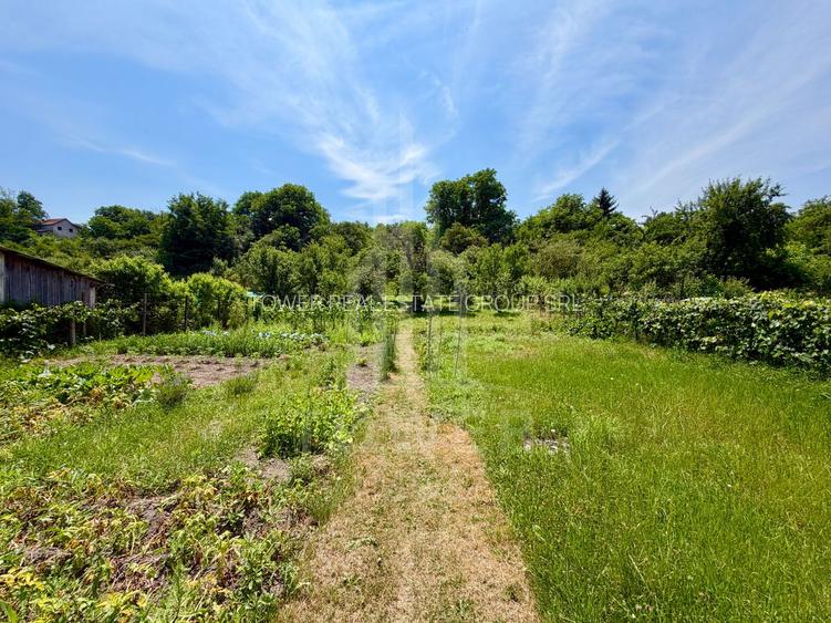 Casă de vânzare-teren 2.300 mp| Ocna Sibiului - 31
