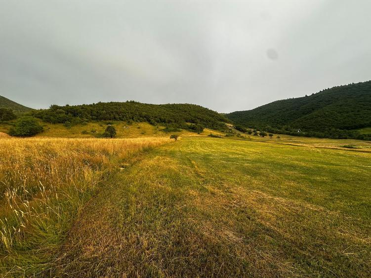 Oportunitate Teren Pt Investitie 3408mp in Gura Raului