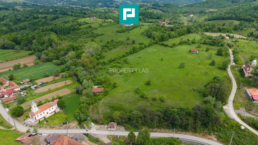 Proprietate de poveste pe Valea Mureșului, Lupești - 9