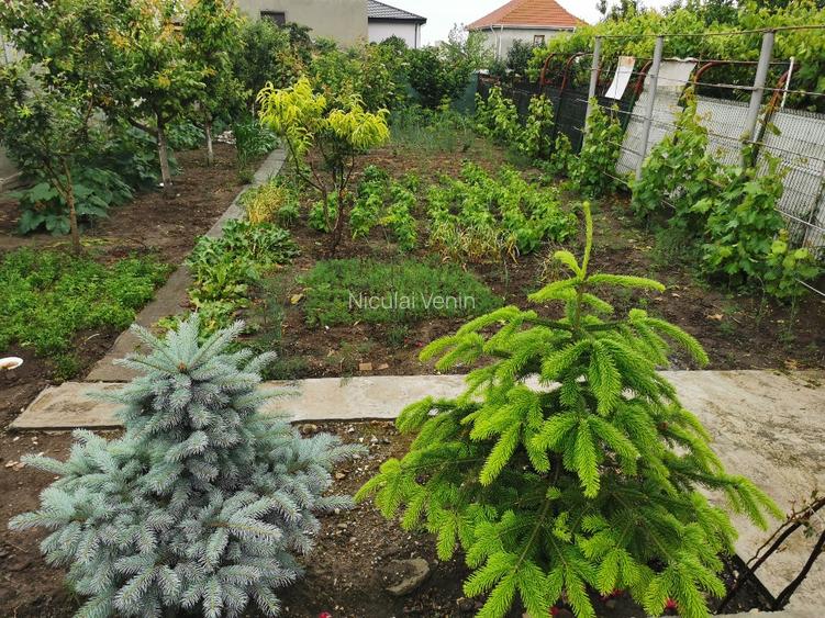 Casă de vânzare în Ovidiu  - 8