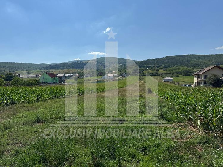 Teren intravilan | De vanzare | 5100 mp | 15 ml | Micesti