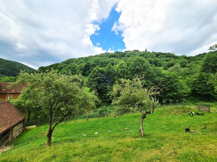 Casa rustica \ Marginimea Sibiului \ Fantanele