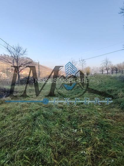 Teren intravilan în Paclisa 1785mp. - 4