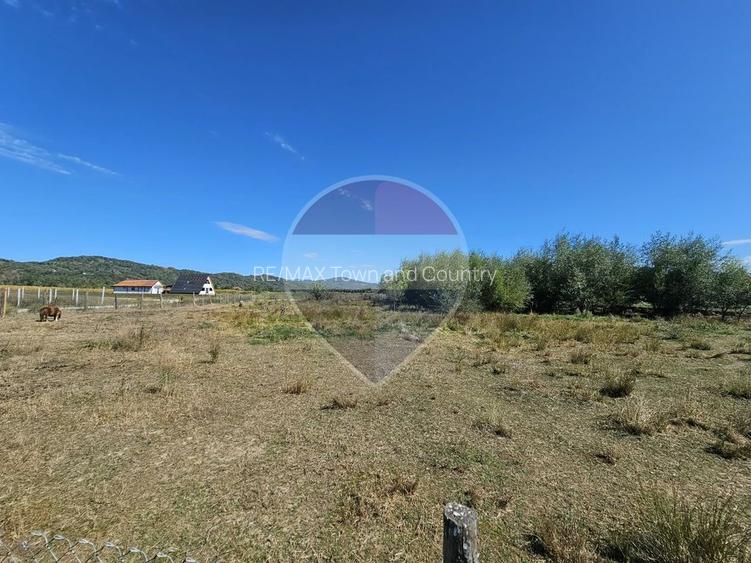 Teren 3,000mp Tisa / Drumul Laga lac - 10