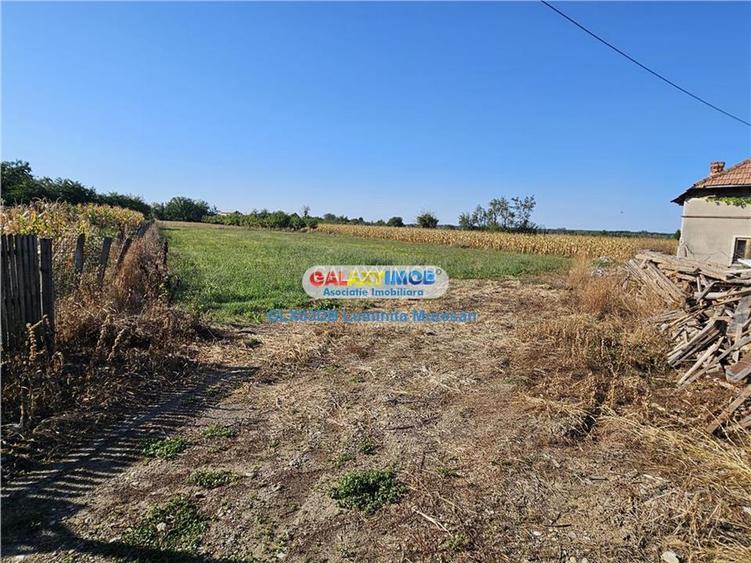 Vanzare teren intravilan Dragomiresti - 6