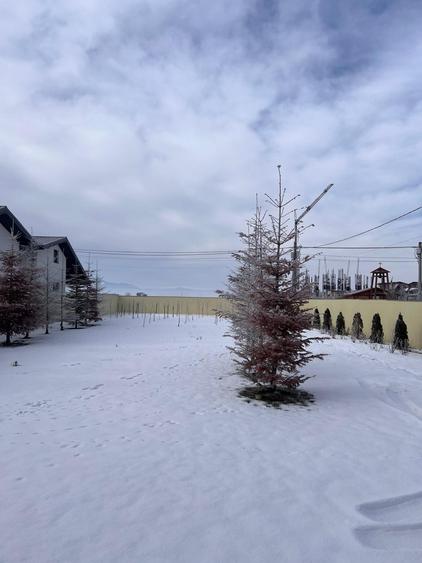 De vanzare teren intravilan in Tarlungeni , Str Izvorului , jud Brasov