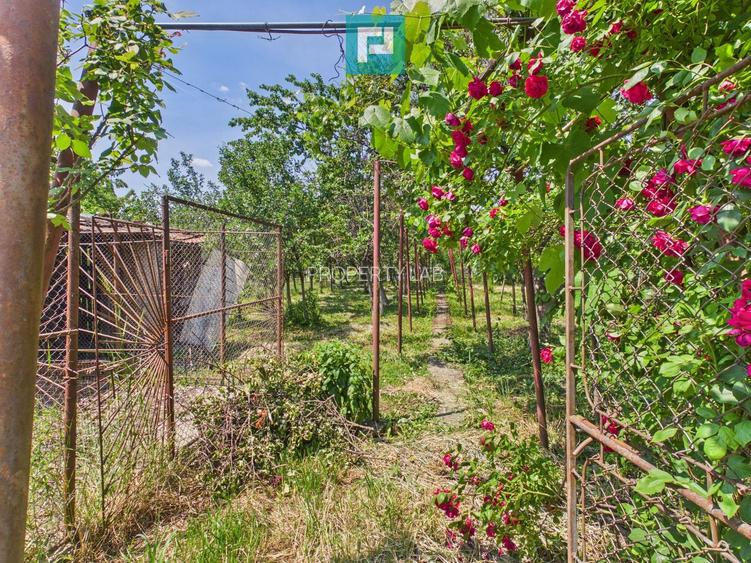 CASĂ INDIVIDUALĂ PÂRNEAVA TEREN GENEROS 846 MP - 6