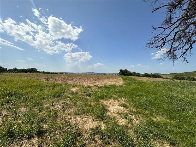 Teren langa padure pentru casa, Cercu, Barnova, de la 500mp la 4000mp