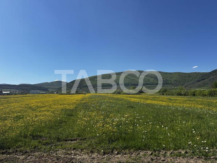 Teren de vanzare cu suprafata de 3000 mp in Poplaca zona industriala