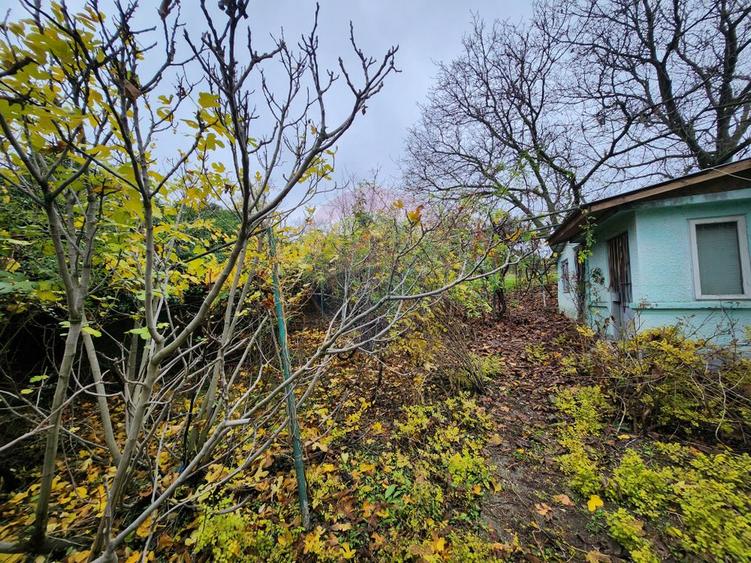 Teren 2200 mp + Casă, sat Frasinu, Giurgiu