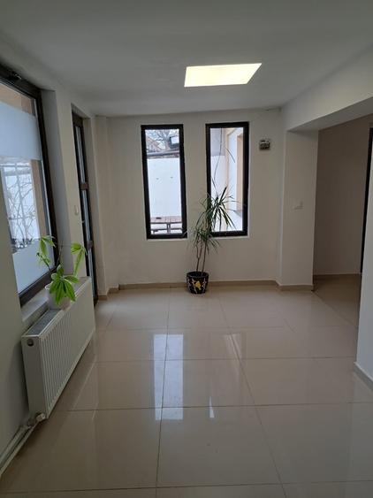 Trocadeo, casa ideal BIROURI, curte
