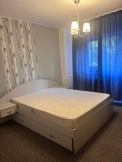 Doua camere Pet Friendly Dristor