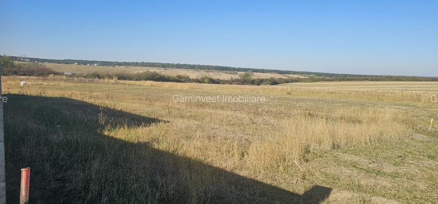 Teren intravilan de vanzare in Cordau , jud. Bihor
