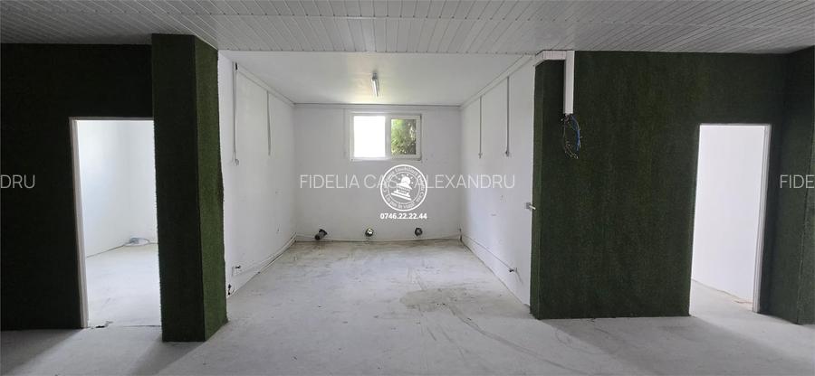 Închiriere Spațiu Comercial/Industrial 220 mp utili – Frumoasa Iași – Ideal Depo