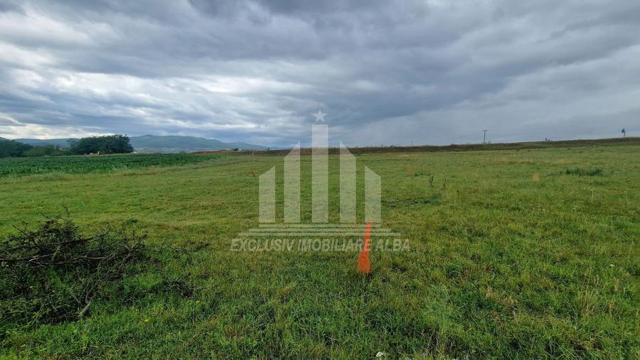 Teren intravilan | De vanzare | 450 mp | 14 ml deschidere | Partos