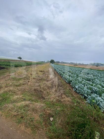 Teren de vanzare, 4700 mp, Strada Brazilor